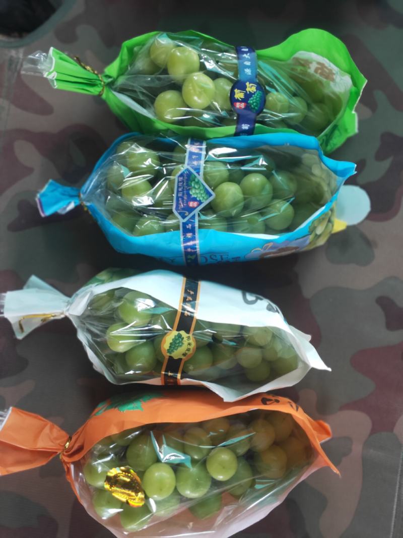 阳光玫瑰葡萄产地一手货源，甜度高，水分足，欢迎新老客户合作