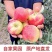 鲁丽苹果产区直发保质保量供货对接全国
