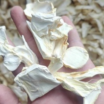 官方推荐:杏鲍菇干片，大降价，欢迎采购