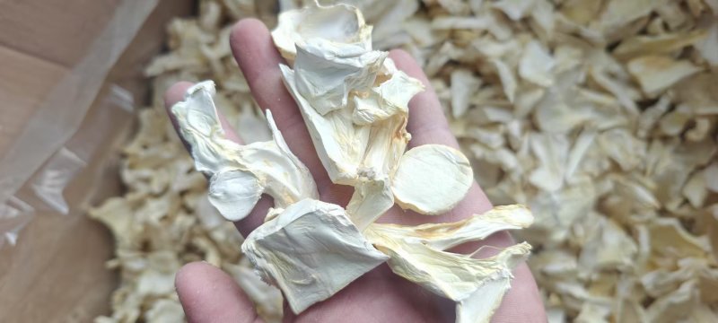 官方推荐:杏鲍菇干片，大降价，欢迎采购