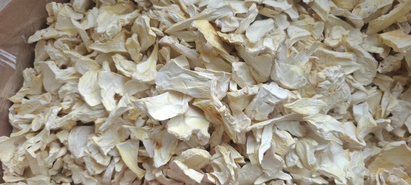 官方推荐:杏鲍菇干片，大降价，欢迎采购