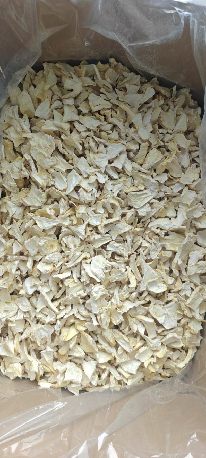 官方推荐:杏鲍菇干片，大降价，欢迎采购