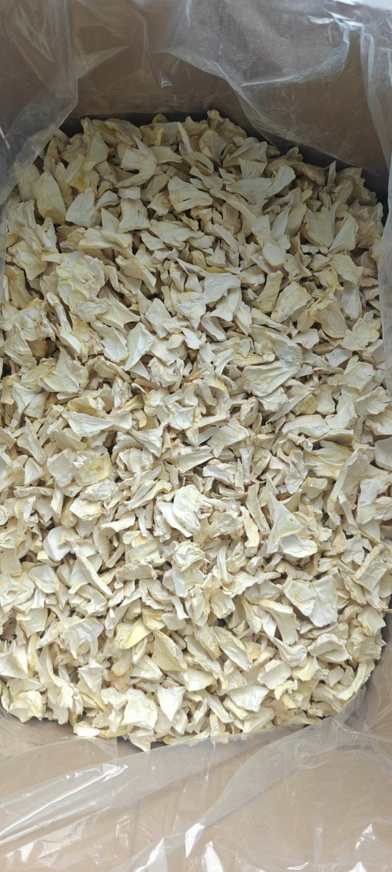 官方推荐:杏鲍菇干片，大降价，欢迎采购