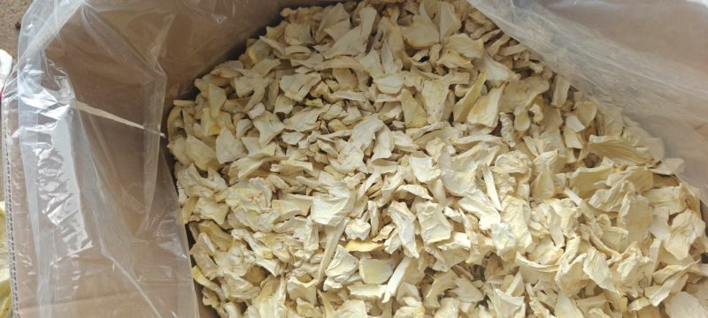 官方推荐:杏鲍菇干片，大降价，欢迎采购