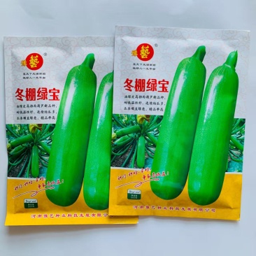 冬棚绿宝西葫芦种子早熟高产油绿皮西葫芦种子耐低温性好