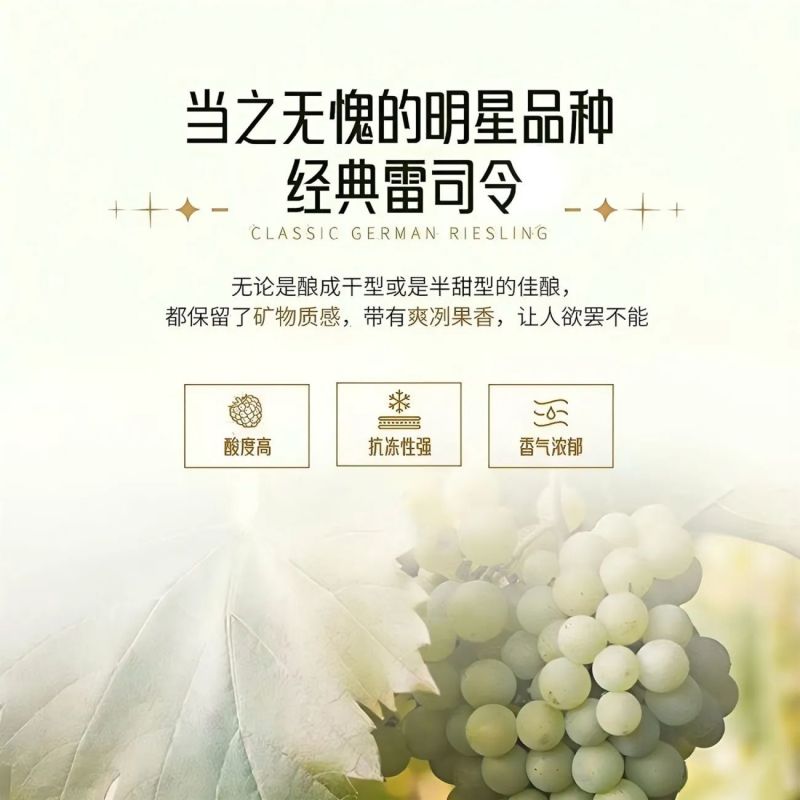 KAIMUSI澳洲进口雷司令白葡萄酒半甜型11度750ml荔