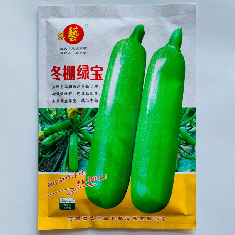 冬棚绿宝西葫芦种子早熟高产油绿皮西葫芦种子耐低温性好