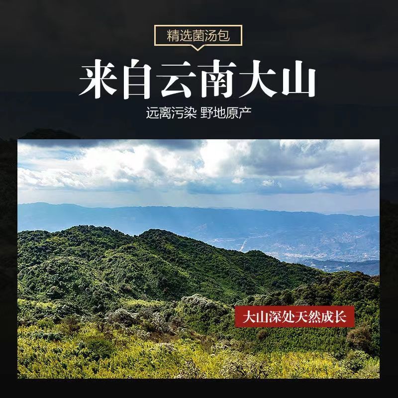 七彩菌汤包云南特产羊肚菌松茸菌菇包冬季滋补干货蘑菇类煲汤食材
