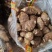 优质毛芋头大量出售价格便宜，货源充足随到随装，一件代发