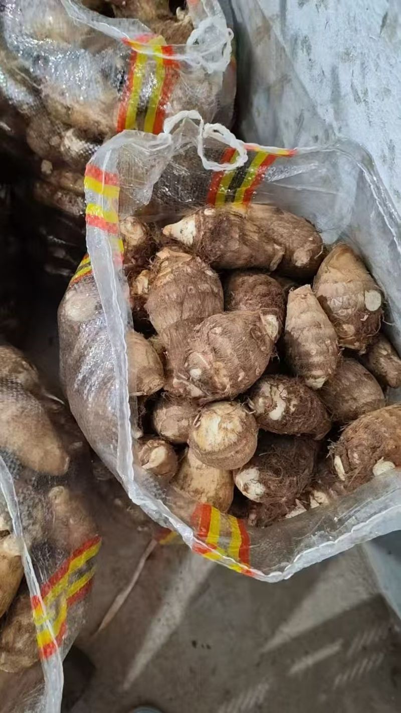 优质毛芋头大量出售价格便宜，货源充足随到随装，一件代发