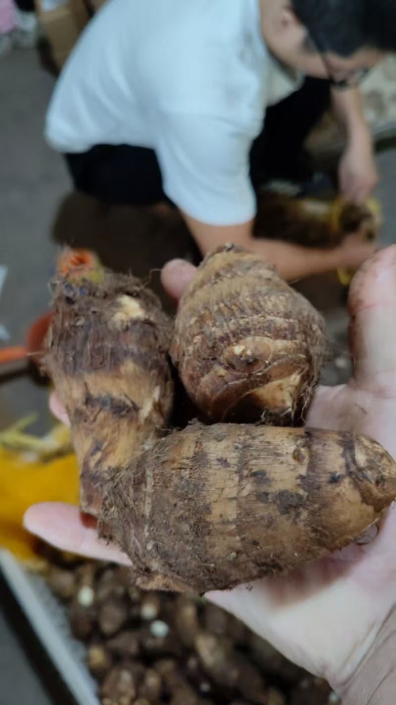 优质毛芋头大量出售价格便宜，货源充足随到随装，一件代发
