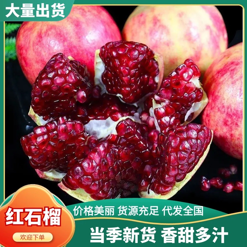 精品红石榴，一手货源产地直发，个大味甜物美价廉/对接全国