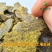 【棉籽饼油渣】种植专用饼肥山东济宁厂家直销