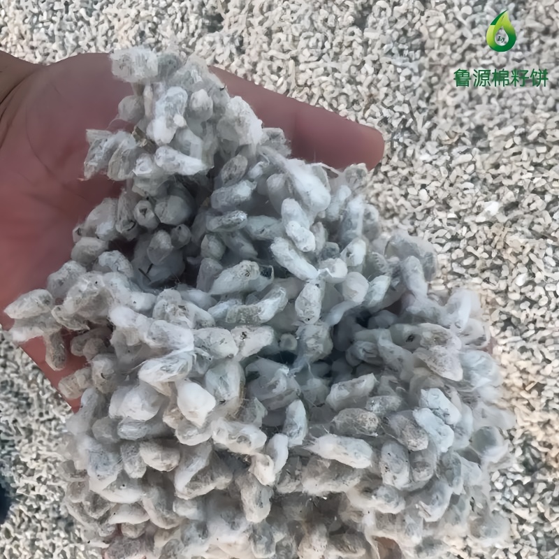 【棉籽饼油渣】种植专用饼肥山东济宁厂家直销