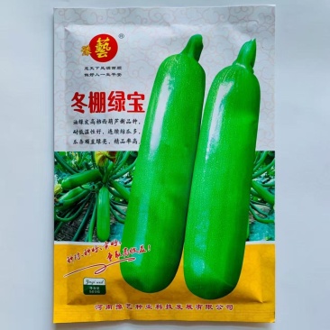 冬棚绿宝西葫芦种子早熟抗病高产油绿皮西葫芦种子耐低温性好