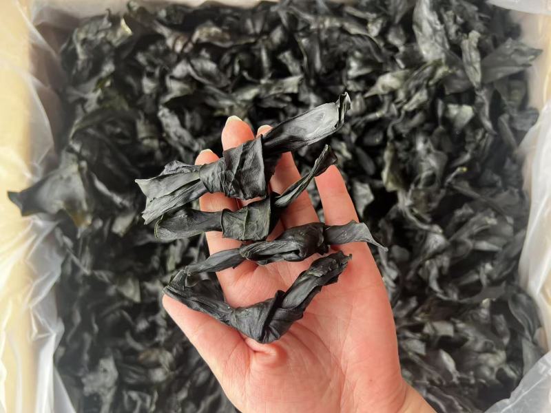 烘干海带结地摊电商批发纯干海带结海带头海带丝海带皮紫菜