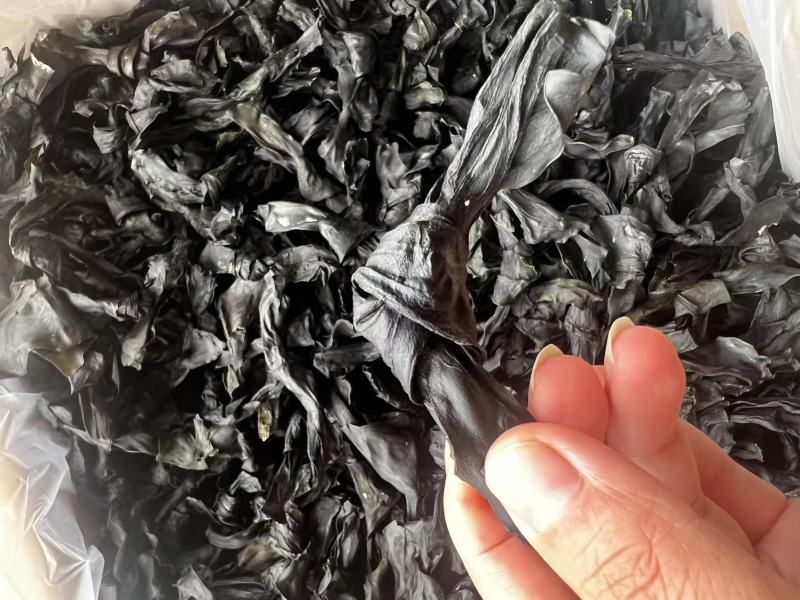 烘干海带结地摊电商批发纯干海带结海带头海带丝海带皮紫菜
