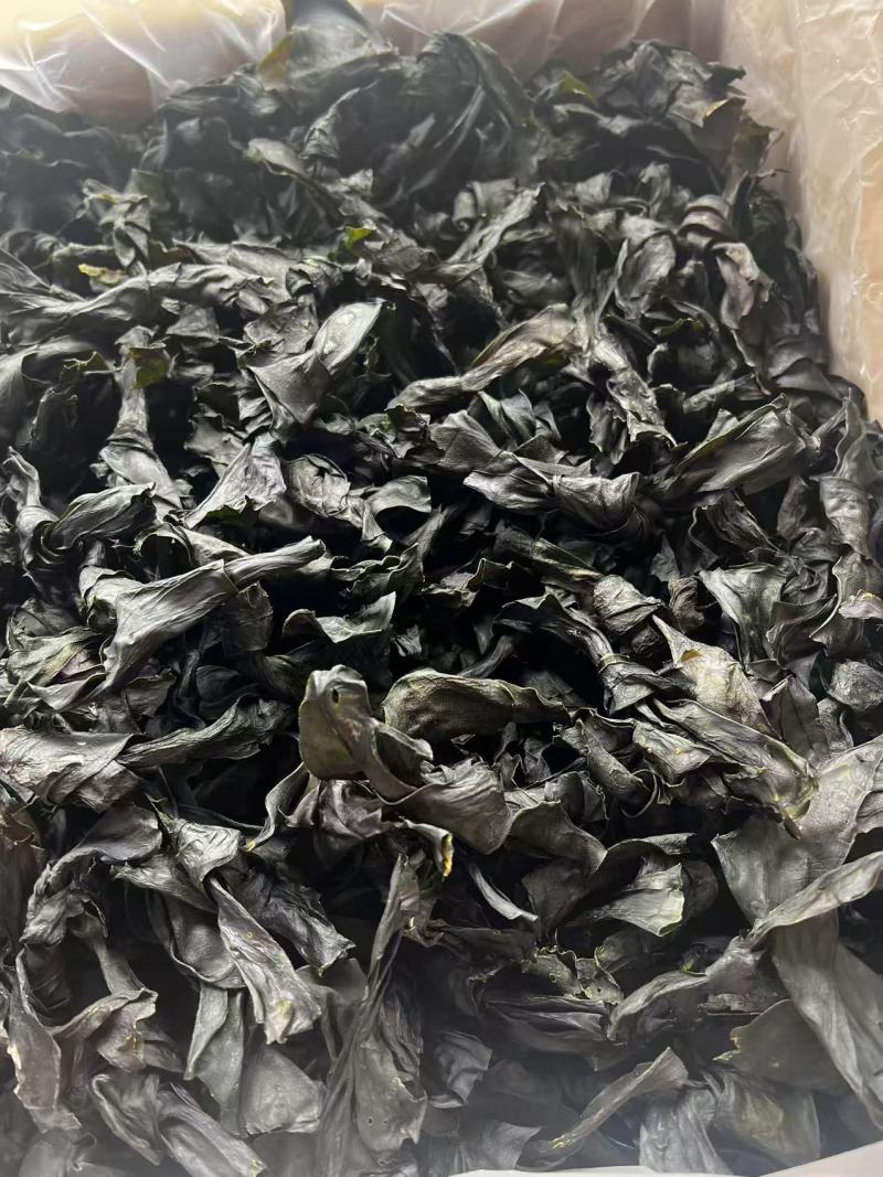 烘干海带结地摊电商批发纯干海带结海带头海带丝海带皮紫菜