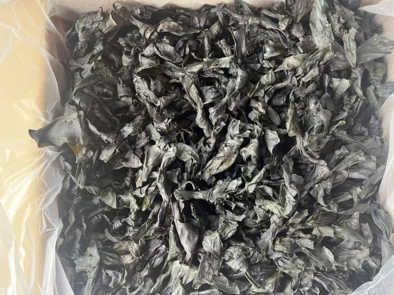 烘干海带结地摊电商批发纯干海带结海带头海带丝海带皮紫菜