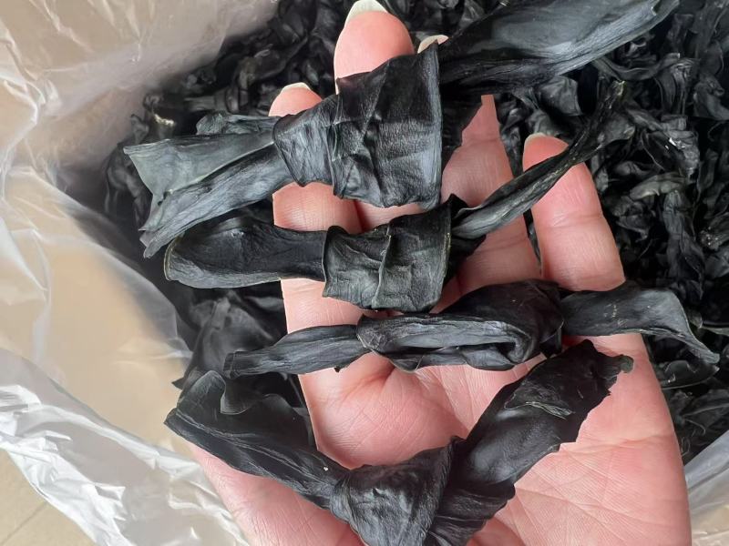 烘干海带结地摊电商批发纯干海带结海带头海带丝海带皮紫菜