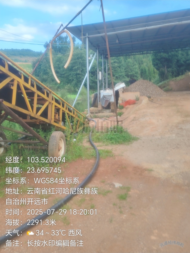 云南珍珠玉藠头