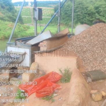 云南珍珠玉藠头
