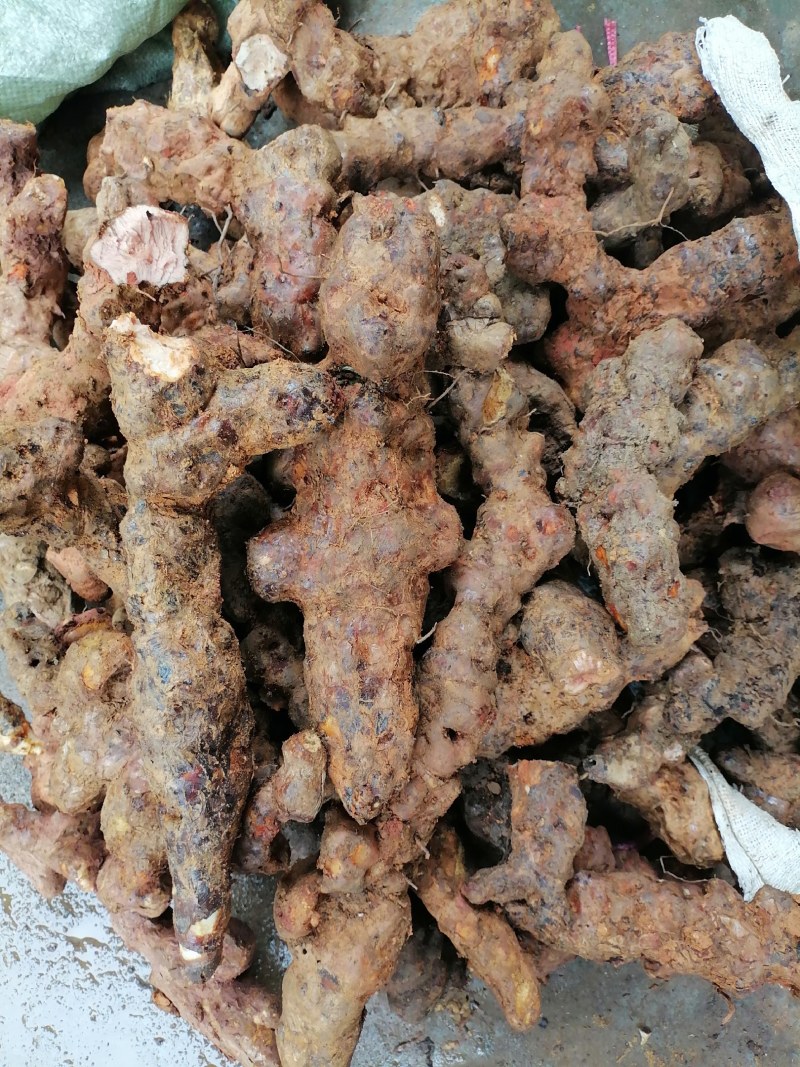 土茯苓粉质白肉一手货源产地直销长期供应