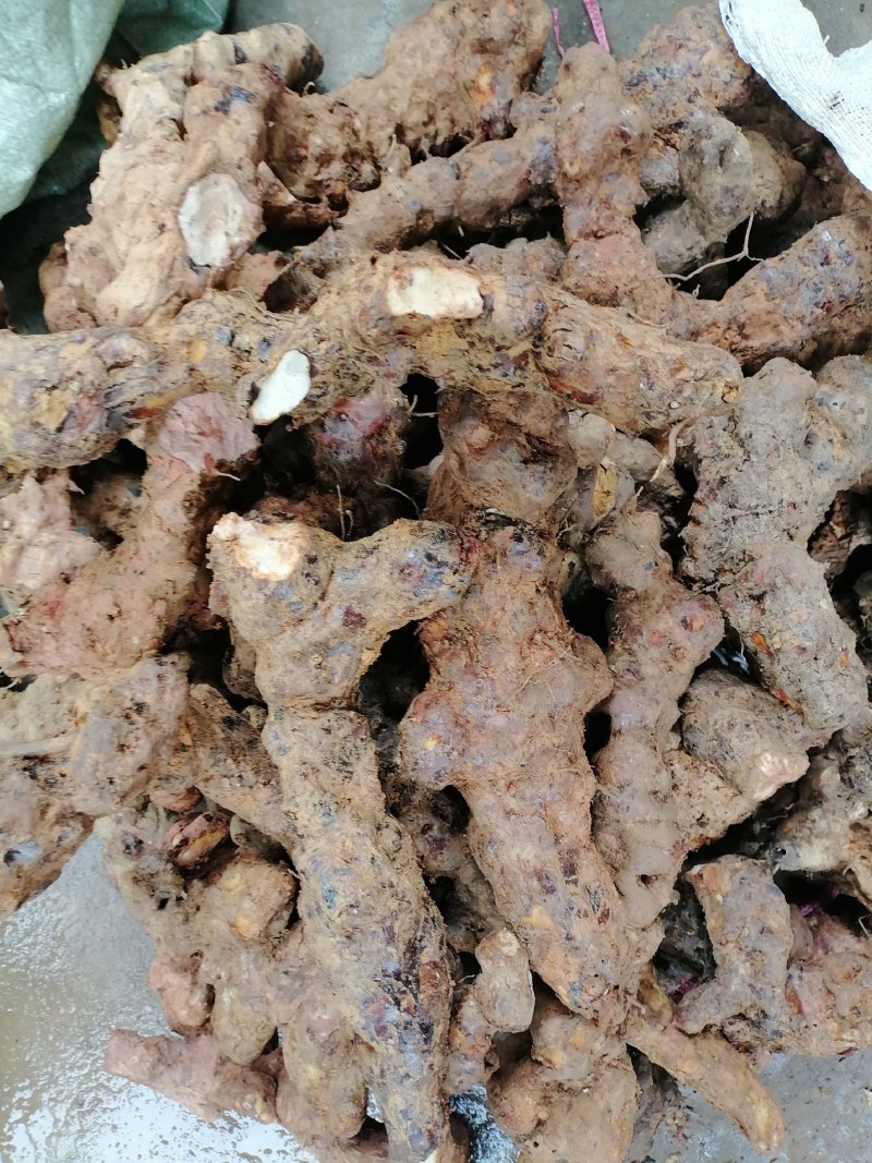 土茯苓粉质白肉一手货源产地直销长期供应