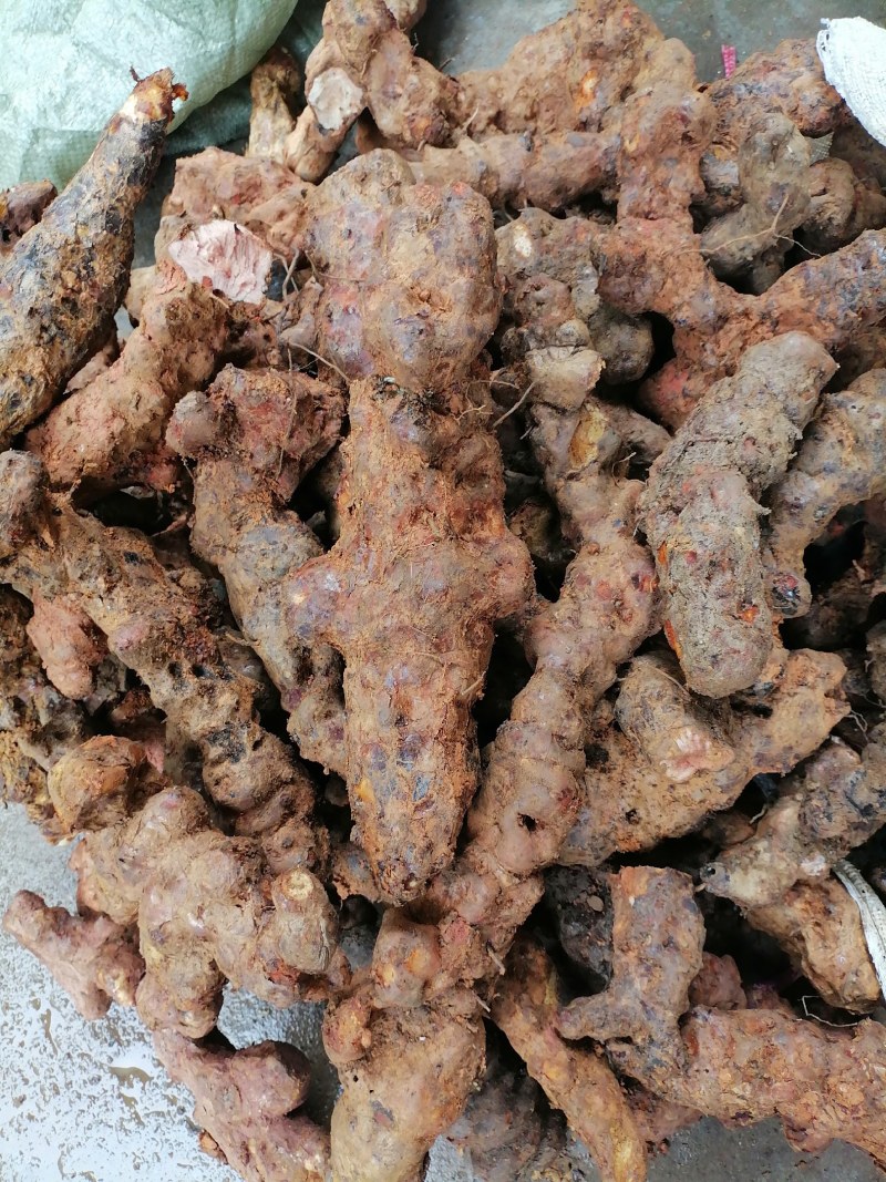 土茯苓粉质白肉一手货源产地直销长期供应