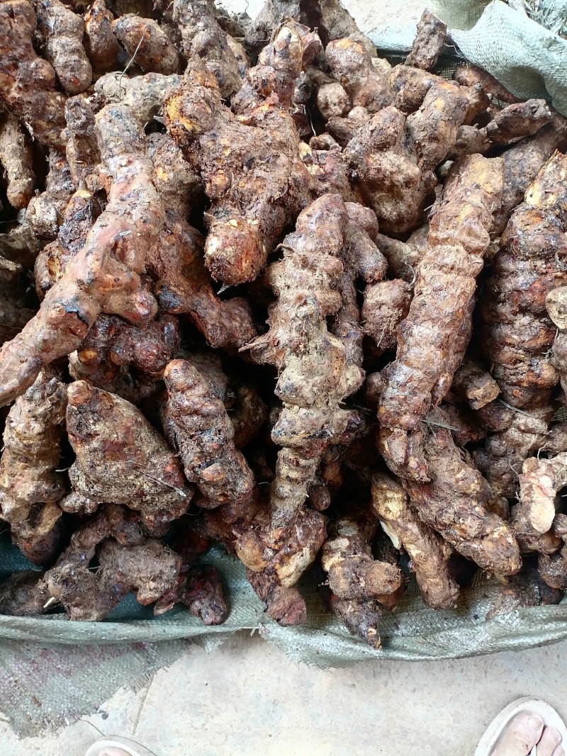 土茯苓粉质白肉一手货源产地直销长期供应