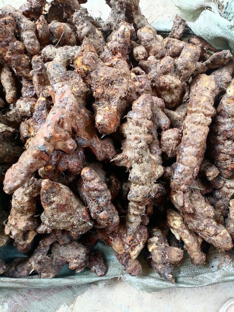 土茯苓粉质白肉一手货源产地直销长期供应