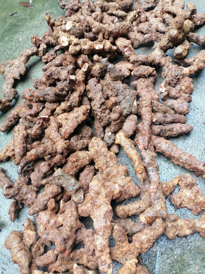 土茯苓粉质白肉一手货源产地直销长期供应
