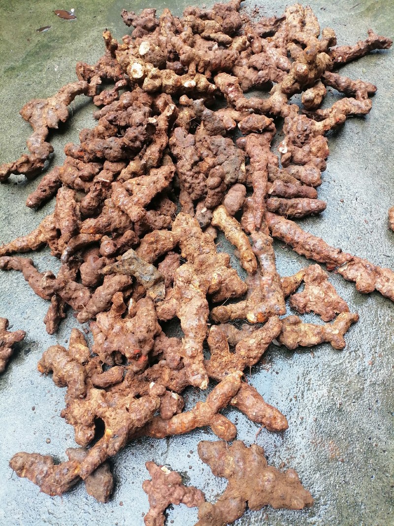 土茯苓粉质白肉一手货源产地直销长期供应