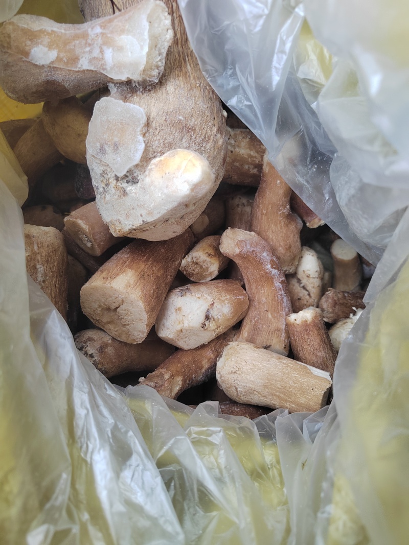牛肝菌
