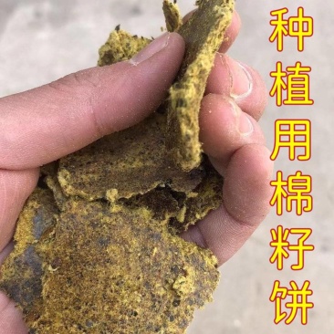 【棉籽饼油渣】种植专用饼肥山东济宁厂家直销