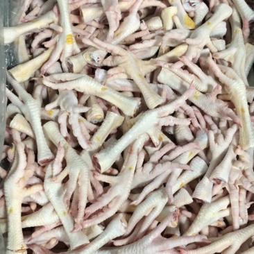 鲜鸡脚