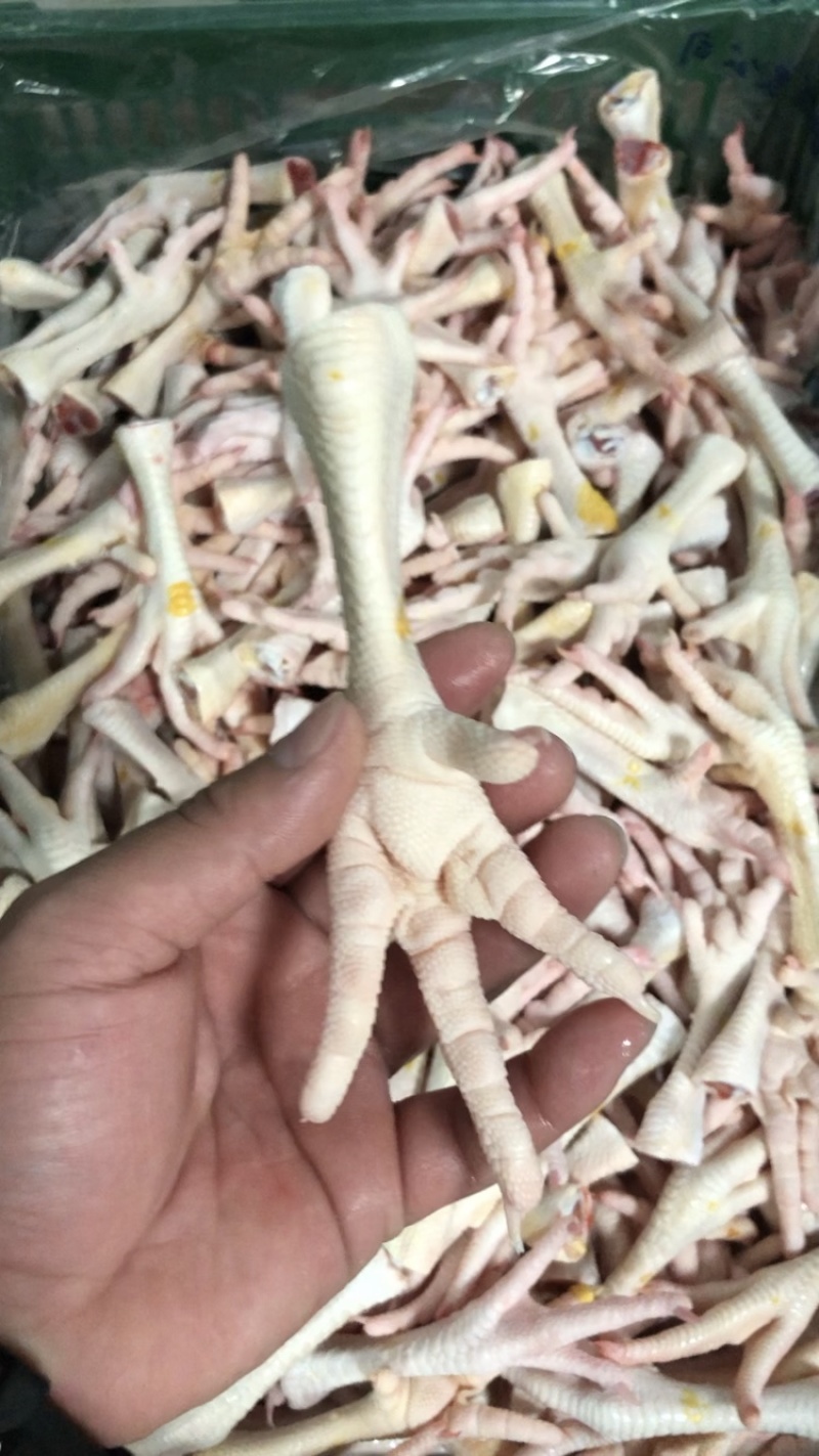 鲜鸡脚