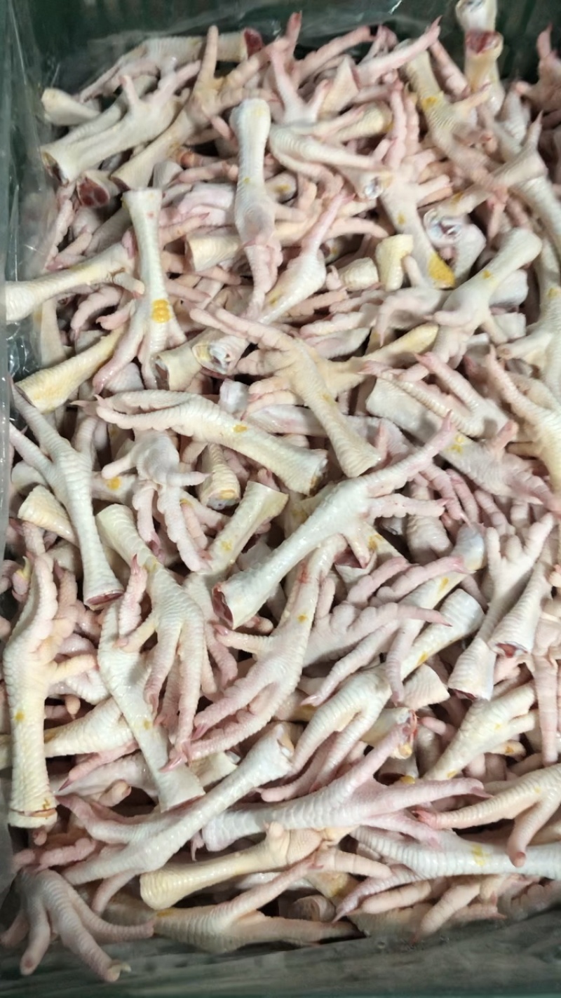 鲜鸡脚