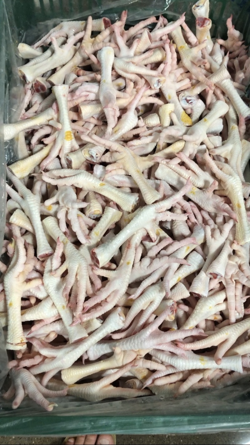 鲜鸡脚