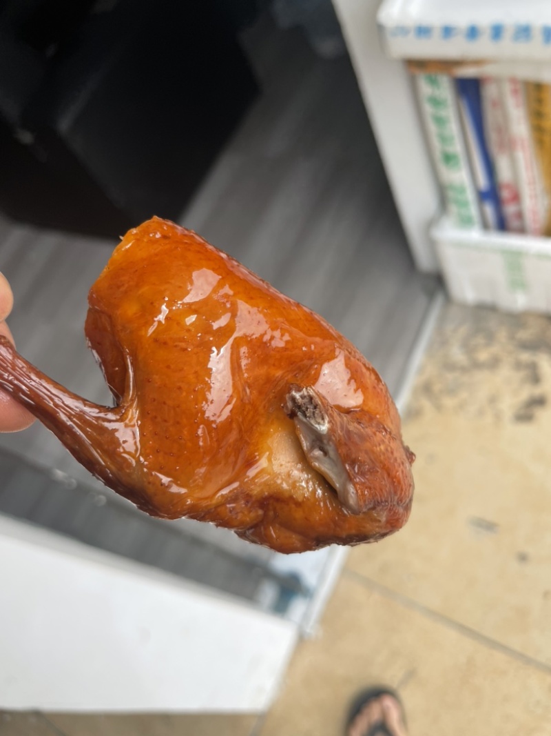 红烧乳鸽