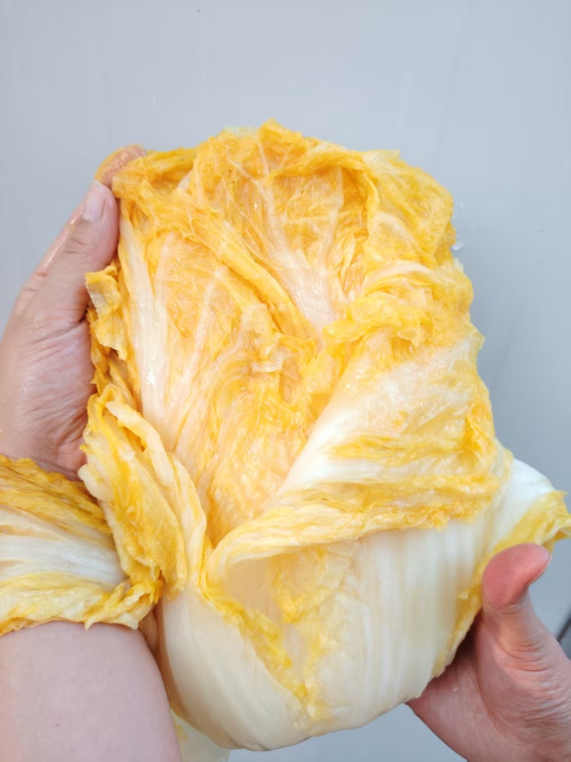 东北酸菜乳酸菌发酵酸菜线上一件代发线下高品质代工