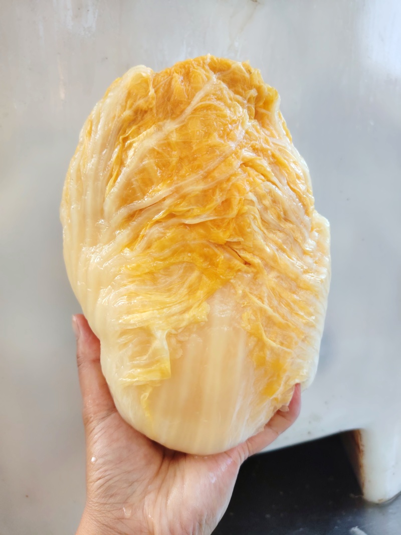 东北酸菜乳酸菌发酵酸菜线上一件代发线下高品质代工