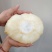 东北酸菜乳酸菌发酵酸菜线上一件代发线下高品质代工