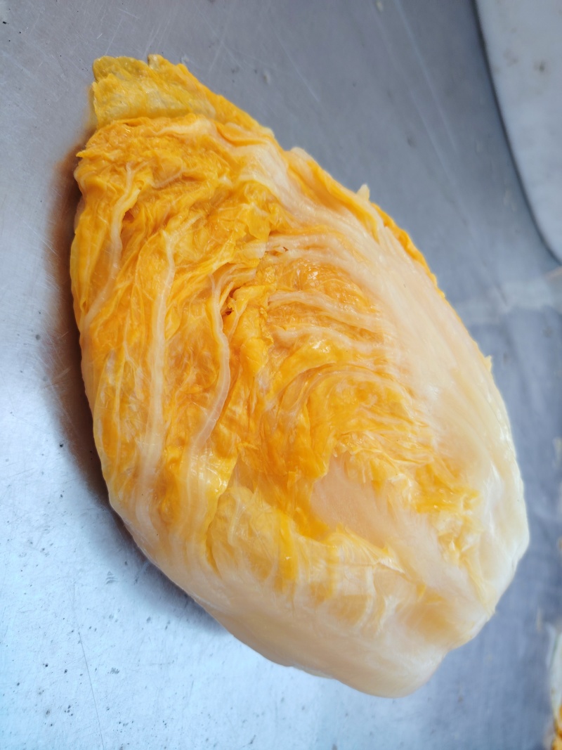 东北酸菜乳酸菌发酵酸菜线上一件代发线下高品质代工