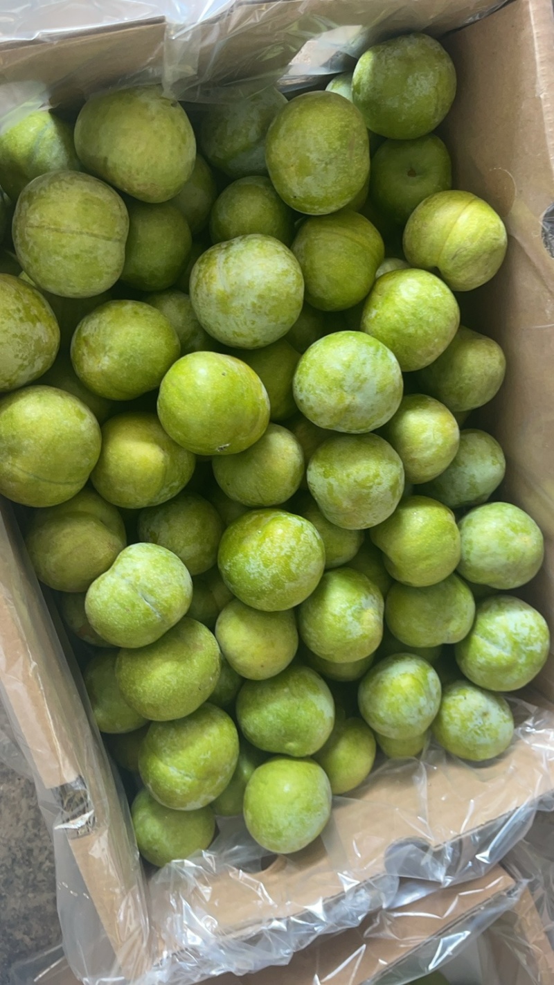 茂县青脆大量上市