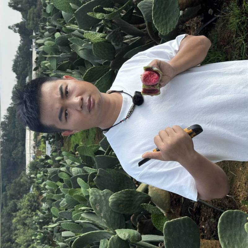 仙人掌果
