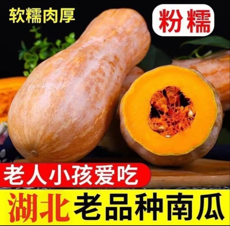 【南瓜】金韩密本南瓜大量供应品质保证代发全国