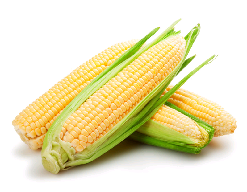 黑糯玉米