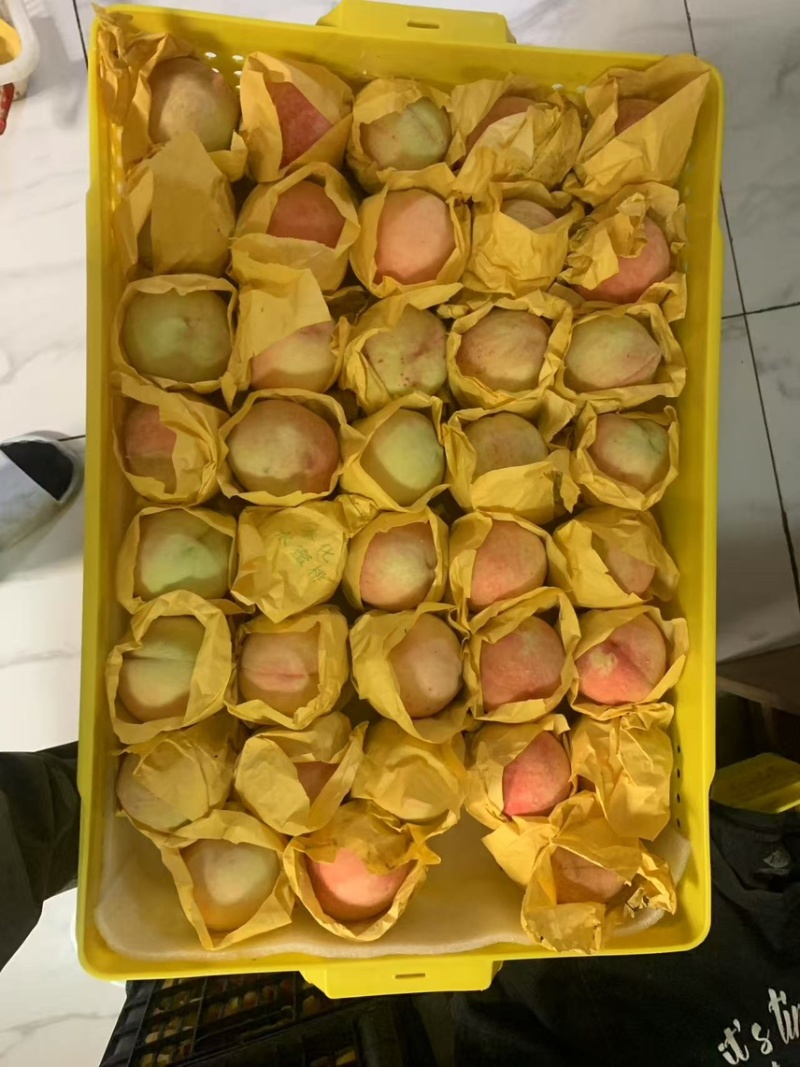 奉化水蜜桃