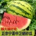 《金城五号》甘肃硒砂瓜/甘肃西瓜/产地货源/质量三包代发